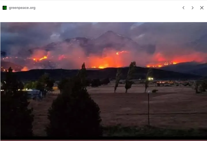 Incendios en la Patagonia
